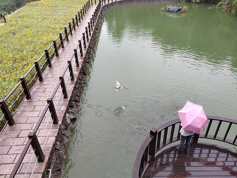 水晶纜車初體驗